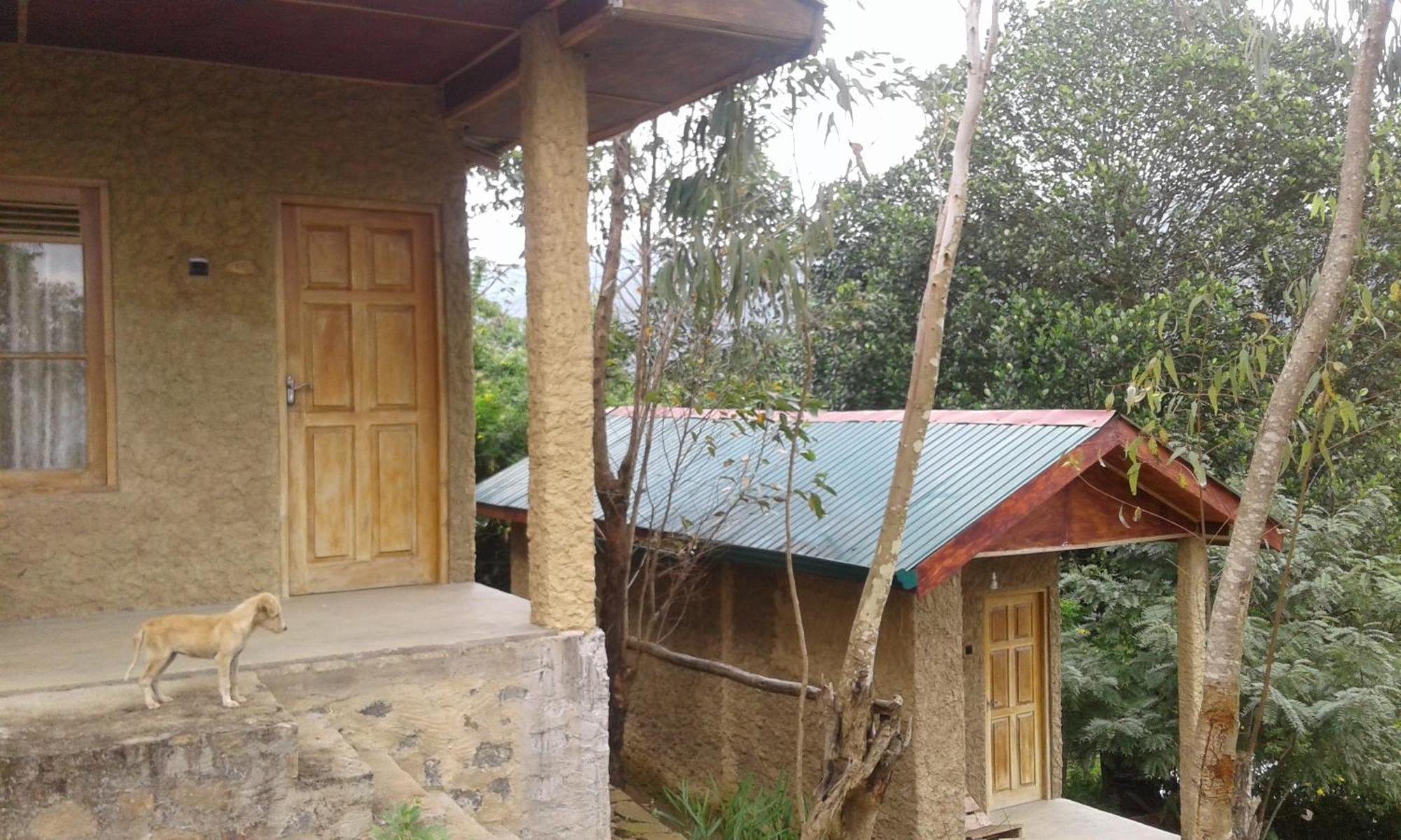 אלה Dew Drop Resort מראה חיצוני תמונה
