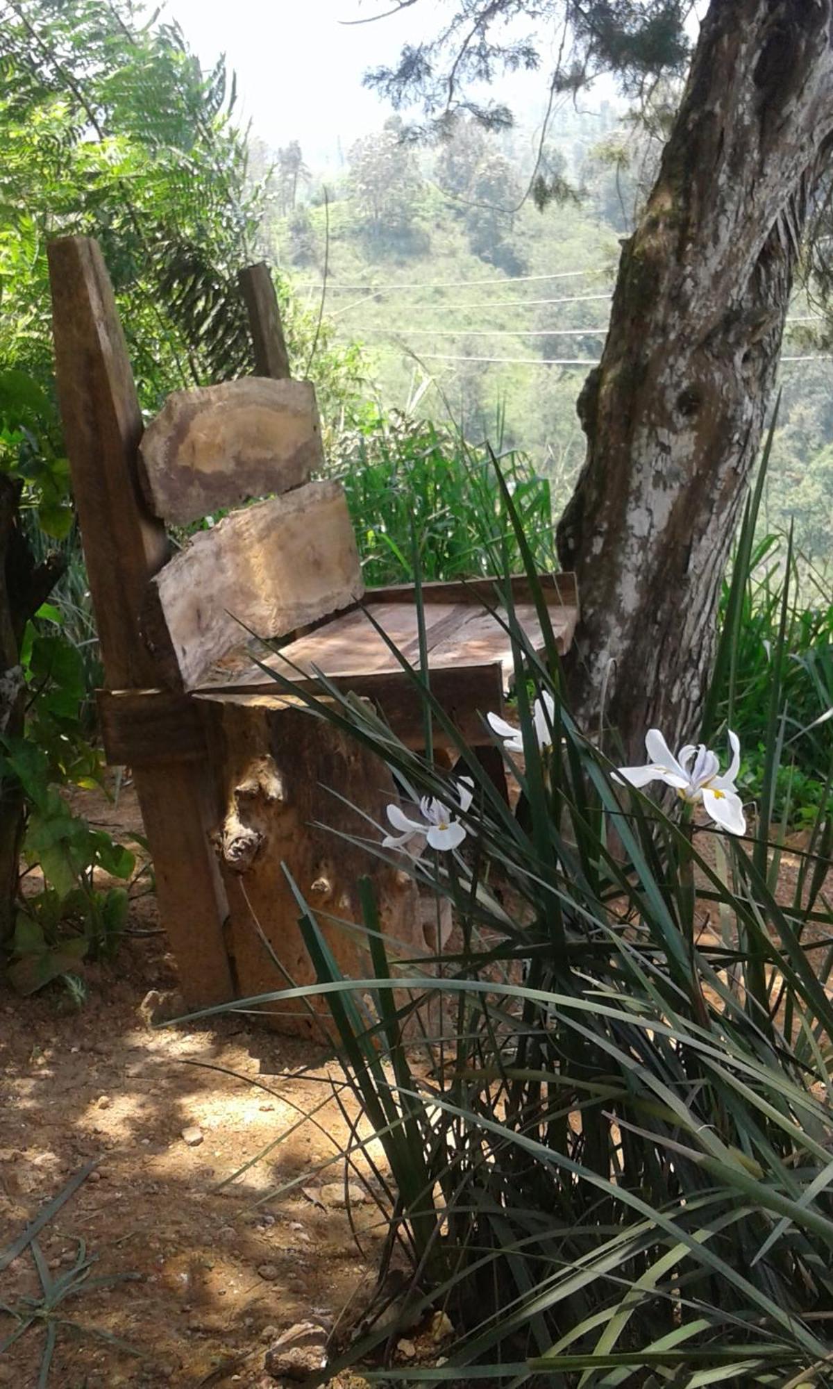 אלה Dew Drop Resort מראה חיצוני תמונה