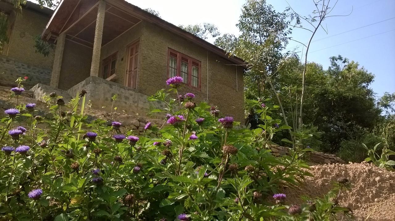 אלה Dew Drop Resort מראה חיצוני תמונה